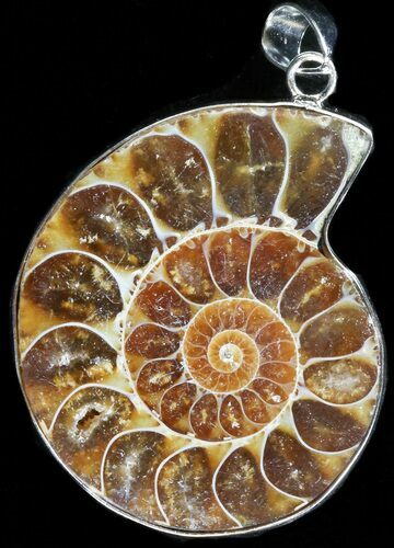 Fossil Ammonite Pendant - Million Years Old #37905